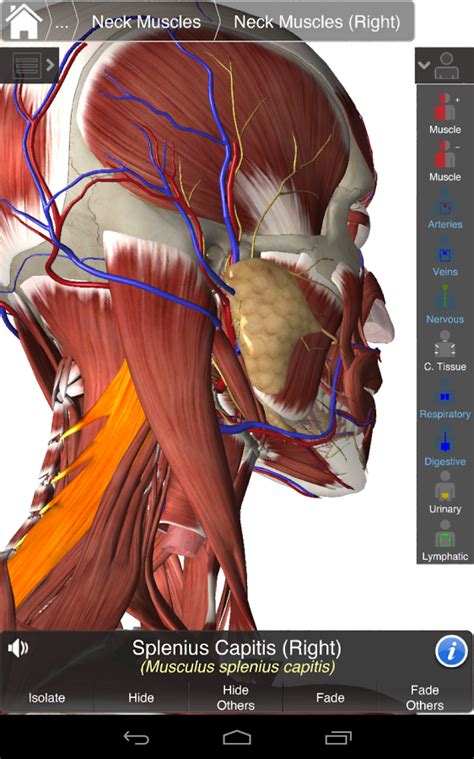 تحميل برنامج essential anatomy 3 للكمبيوتر مجانا
